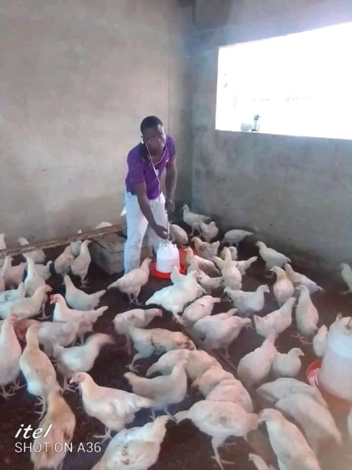 AROUKO David: une initiative entrepreneuriale à la croisée de l’agriculture, de l’élevage et des services