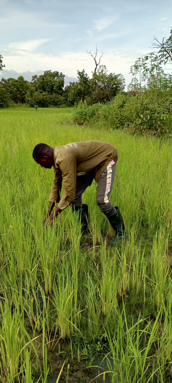 WOROU BORIS JOWAB: UNE INITIATIVE AGROPASTORALE FONDÉE SUR LA DIVERSIFICATION
